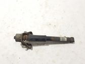 Rear shock absorber/damper