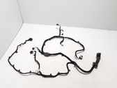 Other wiring loom