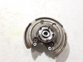 Rear wheel hub