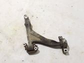 Front lower control arm/wishbone