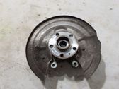 Rear wheel hub