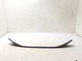 Front bumper splitter molding