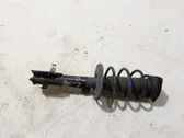 Front shock absorber/damper