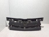 Atrapa chłodnicy / Grill