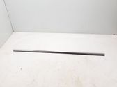 Rear door trim (molding)