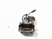 Bremssattel hinten