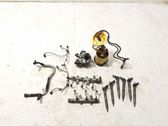 Fuel injection system set
