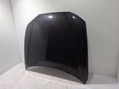 Engine bonnet/hood