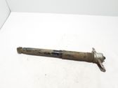 Rear shock absorber/damper