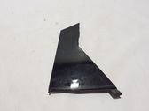 Rear door trim (molding)