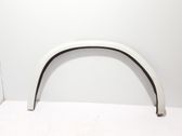 Fender trim (molding)