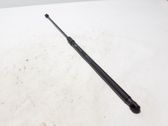 Front bonnet/hood damper/strut