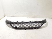 Front bumper lower grill