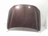 Engine bonnet/hood