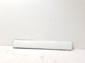 Sliding door trim (molding)