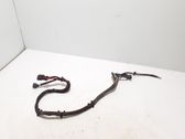 Other wiring loom
