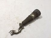 Front shock absorber/damper