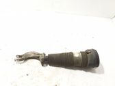 Front shock absorber/damper