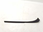 Windshield trim