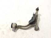 Front lower control arm/wishbone