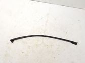Front door glass trim molding