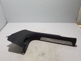 Front sill trim cover