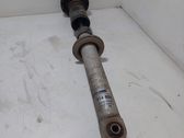 Stoßdämpfer hinten