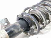 Front shock absorber/damper