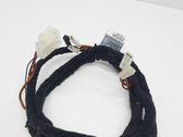 Other wiring loom