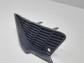 Front fog light trim/grill
