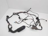 Front door wiring loom