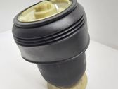 Rear air suspension bag/shock absorber