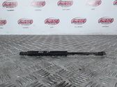 Tailgate/trunk strut/damper
