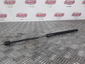 Tailgate/trunk strut/damper