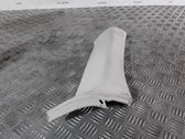 (C) pillar trim