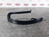 Rear/tail light trim molding