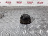 Camshaft pulley/ VANOS