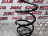 Front coil spring