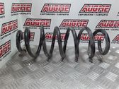 Front coil spring