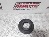 Coil spring mount