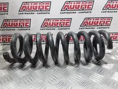 Rear coil spring