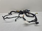 Front door wiring loom