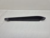 Other rear door trim element