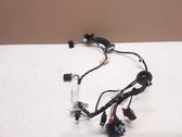 Rear door wiring loom