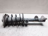 Front shock absorber with coil spring