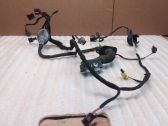 Front door wiring loom
