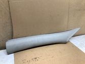 (A) pillar trim