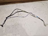 Tailgate/trunk wiring harness