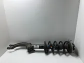 Front shock absorber/damper