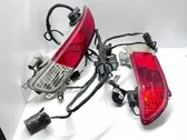 Rear bumper light